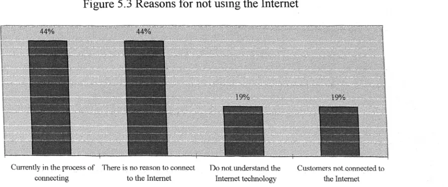 Figure 5.3 Reasons for not using the Internet