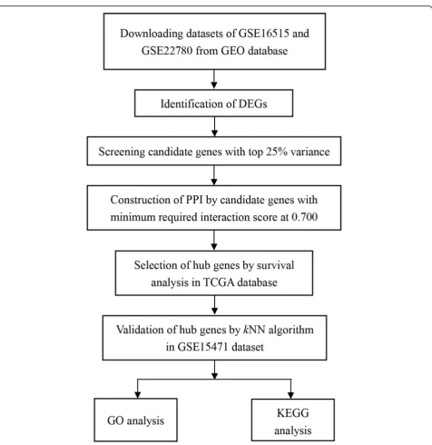 Fig. 1 Flow diagram of the analysis procedure: data collection, analysis, hub gene selection and validation