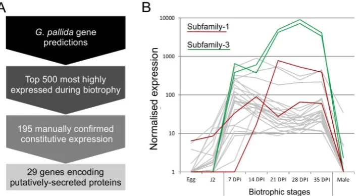 Figure 1. Pipeline for identification of genes involved in plant-nematode biotrophy. A) Summarises the process of identifying novelgenes, highly up regulated during biotrophy, that encode secreted proteins