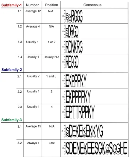 Figure 3. Summary of the variation within the tandem repeat domains. Deduced amino acid sequences from the tandem repeat regions of