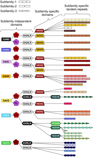 Figure 4. Schematic representation of HYP effector domain organisation in G. pallidaSNPs result in various domains