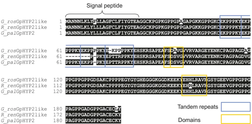 Figure 9. Comparison of HYP effector variation between UKpopulations ofgenetically restricted introduction to the UK