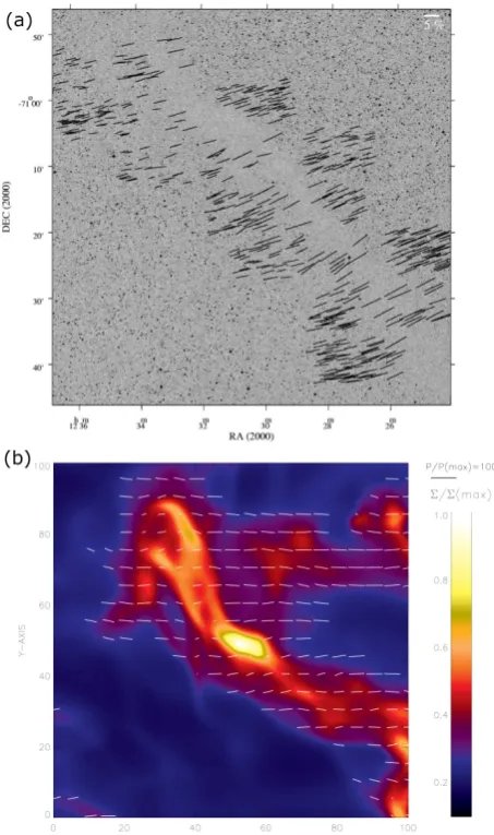 Fig. 5. Left panel: optical polarisation map of the Muska darkcloud (extracted from Pereyra and Magalhães, 2004)