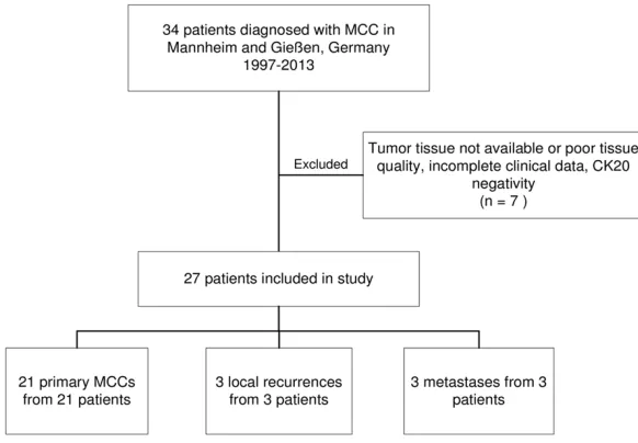 Figure 1. Flowchart of subjects included in the study.