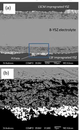 Figure 15 Back-scattering-electron (BSE) images of the 200-m 8YSZ electrolyte-