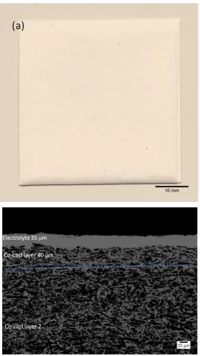 Figure 26 Image (a) and microstructure (b) of the sintered scaffold from the co-