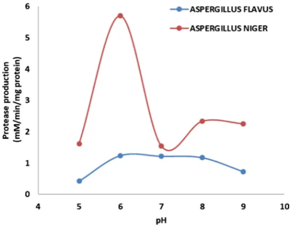 Figure 5. pH variation for extracellular protease production from Aspergillus flavus and Aspergillus niger in a medium containing casein at pH 8