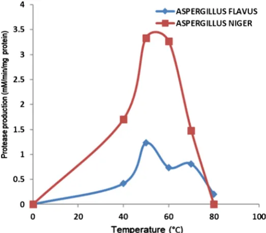 Figure 7. Temperature variation for extracellular protease production from Aspergillus flavus and Aspergillus niger in a medium containing casein at pH 8