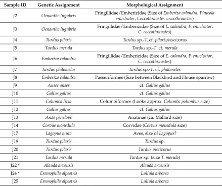 Table 2. Taxonomic assignment of samples based on ancient DNA, compared to previous morphologicalidentiﬁcations