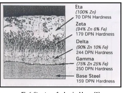 Fig 6. Structure of galvanized layer. [1] 