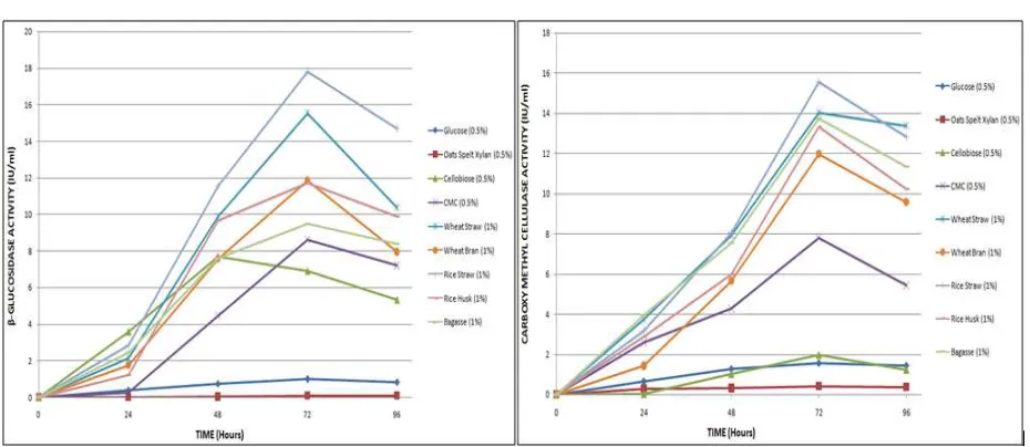 Figure 4: Effect of various nitrogen sources on Cellulase and  β-Glucosidase production 
