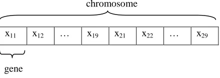 Figure 1: Structure of a Chromosome 