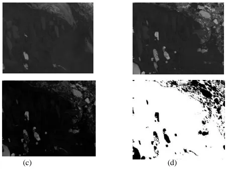 Figure 2: (a) Landsat 5 TM Band 1 image acquired in 22 July 1985; (b) Landsat 5 TM Band 1 image acquired in 13 July 2005;  (c) Difference image; (d) The resultant output (white denotes unchanged and black denotes changed areas)