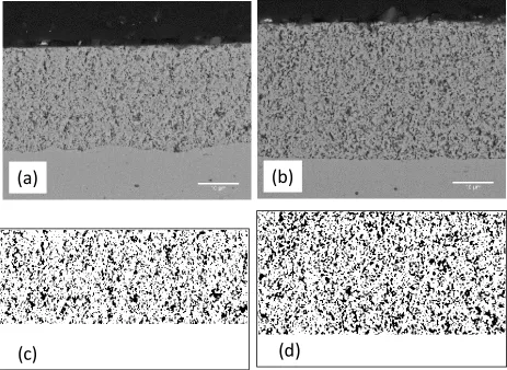 Figure 6. Back-scattered images of the film sintered at 1320 oC with ink containing Unitec 1 um (a) and 2 um (b)  YSZ powder: (c) and (d) is the respective binarized image for calculation of porosity, pore orientation and pore size
