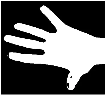 Fig.3 Finger Edge Located Image 