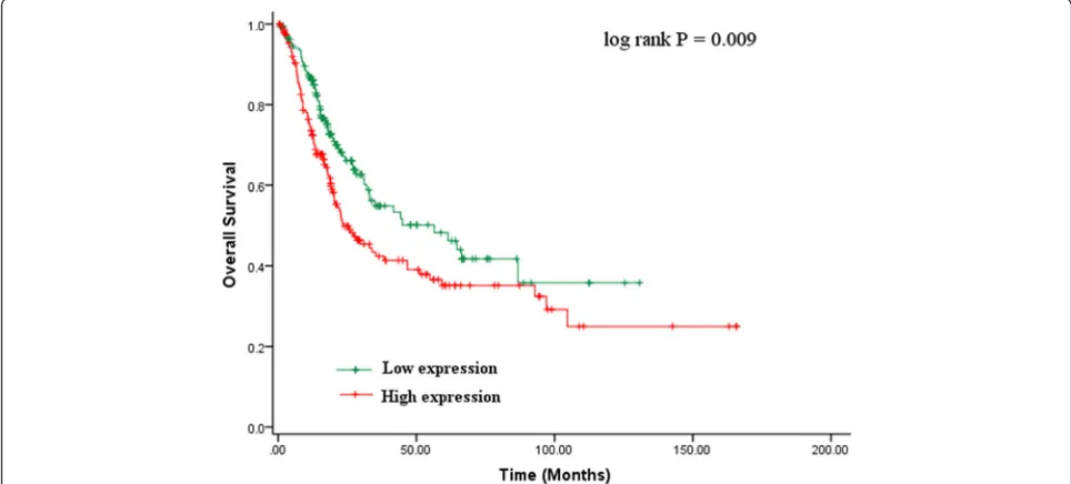 Fig. 3 Kaplan–Meier analysis for the overall survival of patients with bladder cancer in the TCGA cohort