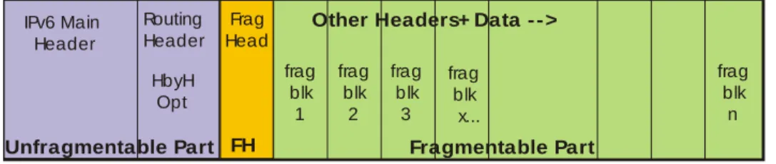 Figure 3-3: IPv6 Packet Fragment 