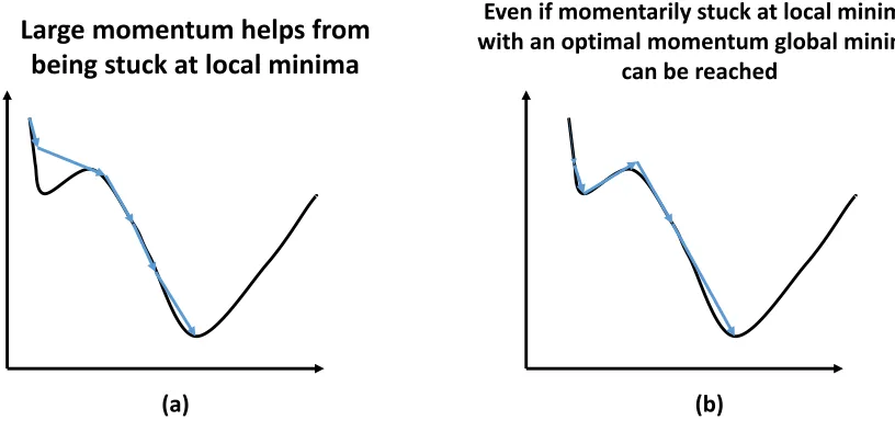 Fig 12. Momentum helping weights from being stuck at a local minima. 