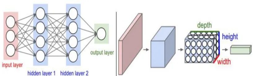 Fig 16. Comparison of FNN and CNN. [32] 
