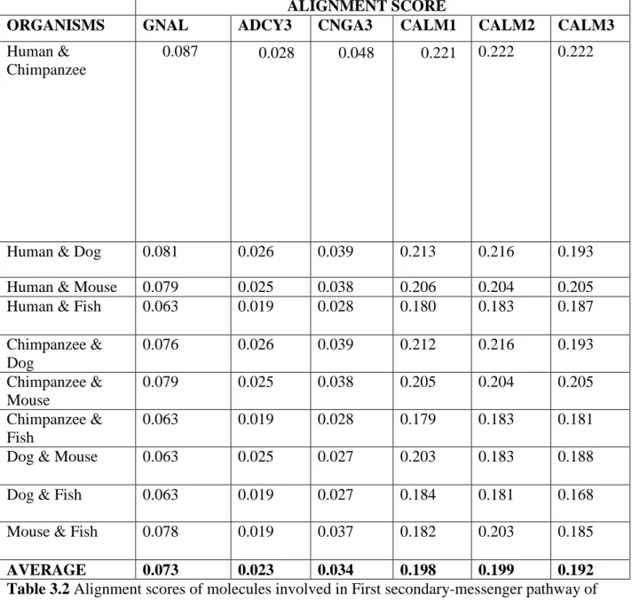 Table 3.2 Alignment scores of molecules involved in First secondary-messenger pathway of  Olfactory Transduction 