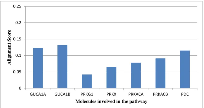 Figure 3.3 Sequence showing conservation and variation in molecules along the Second  secondary-messenger pathway of olfactory transduction