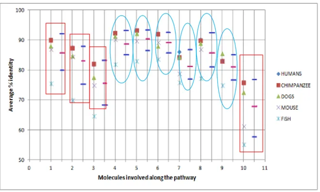 Figure  3.4  Plot  showing  the  conservation  and  variation  of  molecules  along  the  First  Secondary  messenger  (cAMP)  pathway