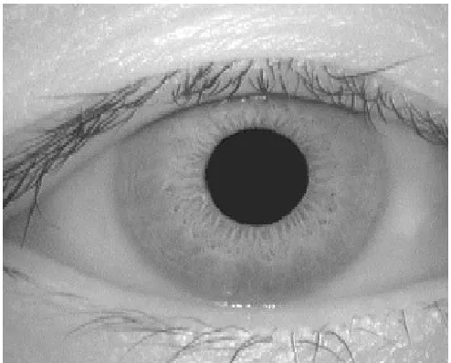 figure 1 is specimen image from database.  