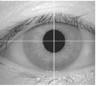 Figure 3. Segmented Image 