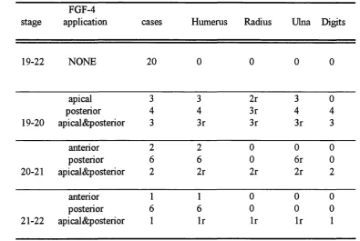 Table 3.2 : Skeletal pattern of wings following removal of whole hmb buds at early stages, with and without apphcation of FGF-4 beads to different positions of the remaining mesenchyme