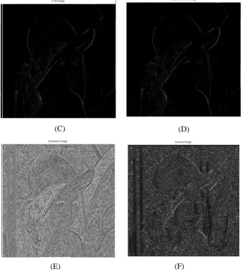 Fig. 3 (A) Image after Mode filtering of Fig. 2 (E) with 3*3 kernel size.  (B) Image after standard deviation filtering of Fig