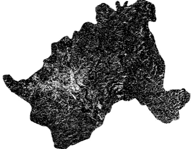 Figure 3. Mianyang City construction land extracted by IBI index.  