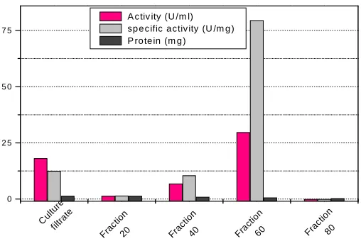 Fig. 1.  Protein content, Enzyme activity and specific activity of different fractions of mutant  B
