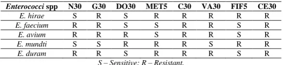 Table 3 Antibiotic sensitivity of different Enterococcus spp 