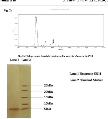 Fig. 2b.High pressure liquid chromatographic analysis of enterocin SN11 