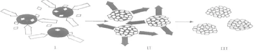 Fig. No. 3: Mechanism of Quasi Emulsion Solvent Diffusion Method  