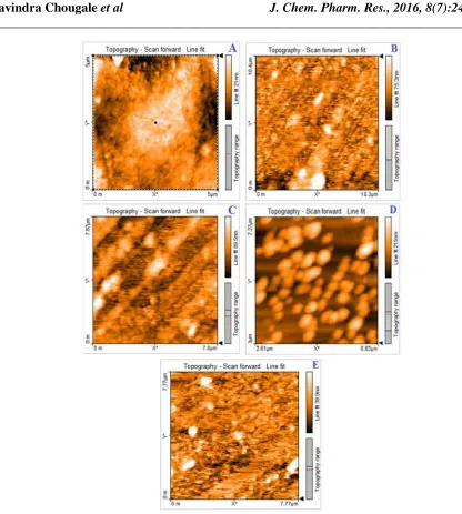 Fig. 3.  Tapping mode AFM images: A) Chitosan, B) 95/2.5/2.5, D) 85/7.5/7.5 and E) 80/10/10 blend films 