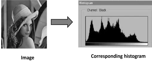 Fig 1 Image histogram 