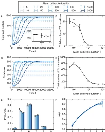 Fig. 2. Variation of cell numbers (A), number of T2 transitions (B), tissue area (C), total number of T1 transitions (D), cell neighbour number distribution (E) and mean area per polygon class (F) with mean cell cycle duration