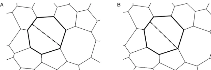 Fig. 5. Differences in vertex conﬁgurations can arise in simulations run with different temporal resolution