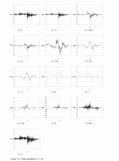 Figure 1.9; Pollen wavelets for a = ti/3