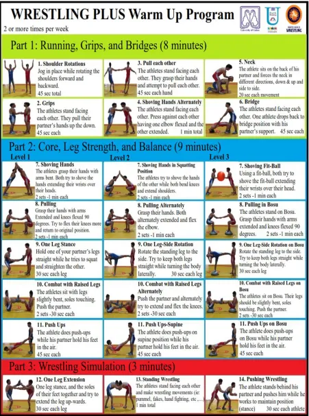 Figure 2.  Wrestling+ warm-up program.  