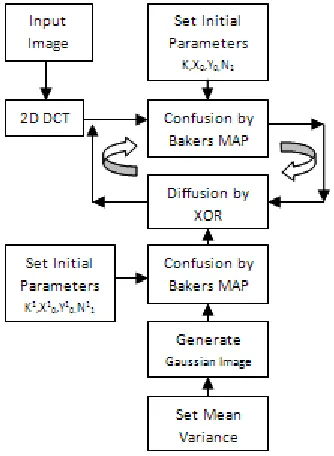 Figure 1: Flow chart for the proposed algorithm 