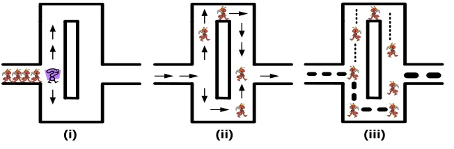 Figure 1.2:  i. Ants don’t know where to go initially, choose paths randomly 