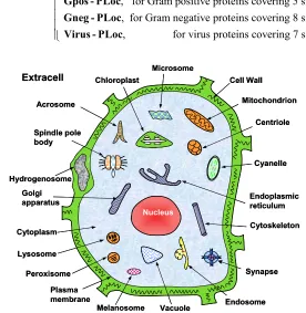 Figure 2. Schematic illustration to show many different compo-nents or organelles in a eukaryotic cell