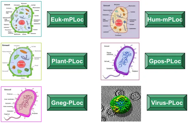 Figure 3. A semi-screenshot to show the Cell-PLoc web-page at (http://chou.med.harvard.edu/bioinf/Cell-PLoc/)