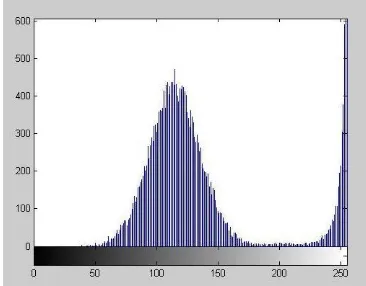 Figure (4). Image corrupted by Gaussian Noise with Histogram 