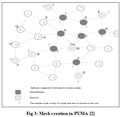 Fig 3: Mesh creation in PUMA [2] 