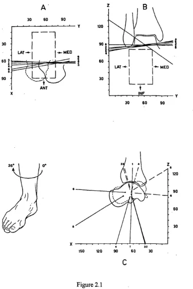Figure 2.1Transverse (A), frontal (B) and sagittal plane (C) views of the ankle