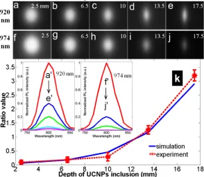 Figure 8. Experimental results: UC PL image (38×51 mm2) at each depth and each excitation (920 nm excited: a-e, 980 nm excited: f-j); normalized UC PL spectra (the inset); ratio value at each depth compared to simulated results (the curves in k)