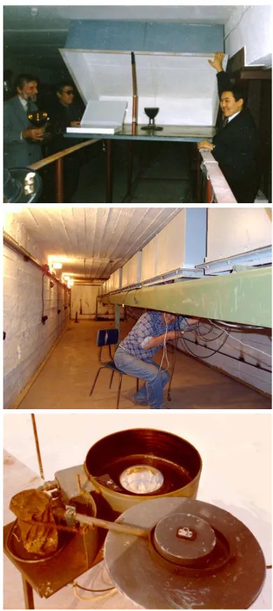 Figure 2. Main detectors of the array: scintillator (top); muonic (middle); Cherenkov (bottom).